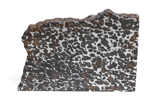 Sericho 619.6G